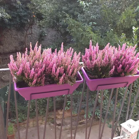 Appartamento Casa Maron